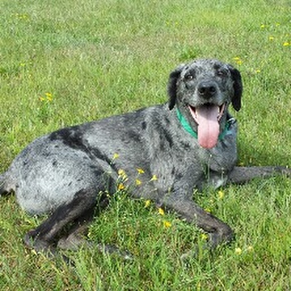 Meet your Posher, Sarah - Picture 1 of 1